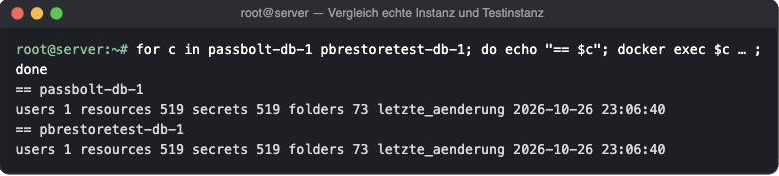 Terminal: Zählung von Benutzern, Einträgen, Secrets und Ordnern – echte Instanz und Testinstanz identisch